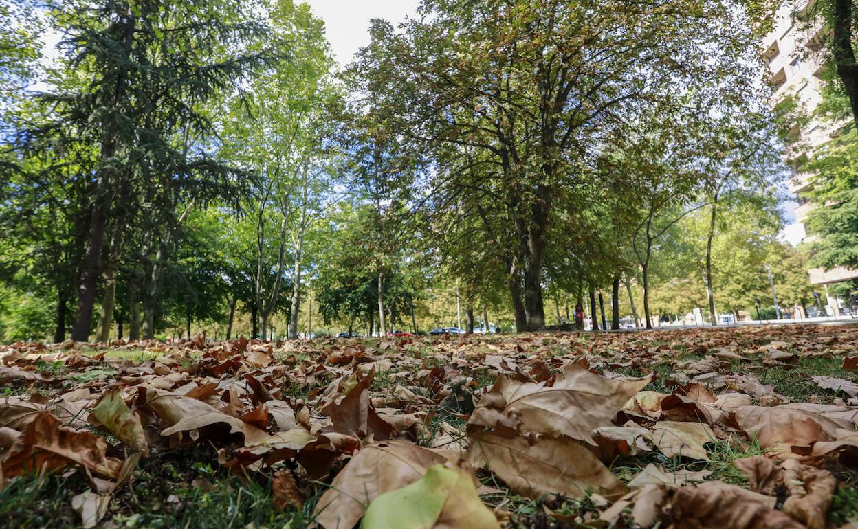 El parque de Arriaga es una de las zonas verdes donde se mejorará el alumbrado.