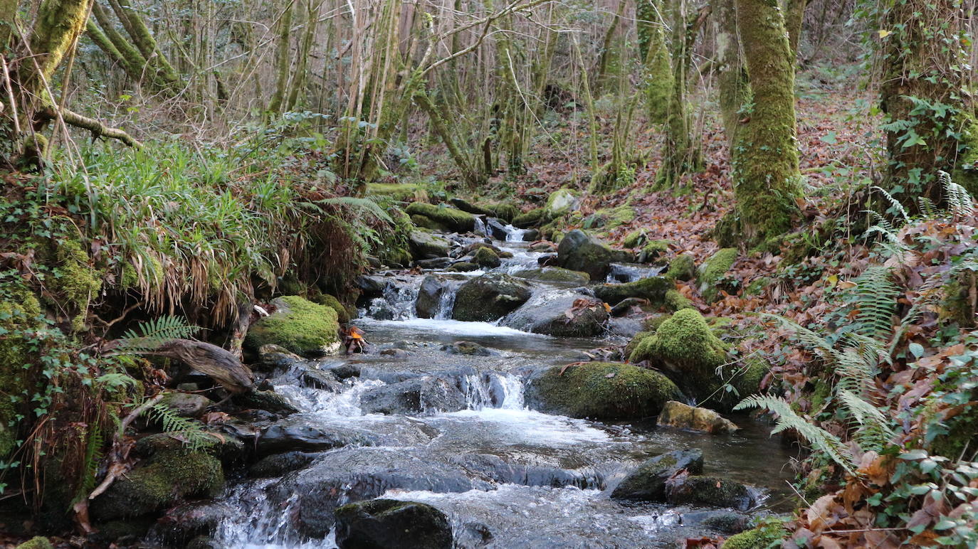 1.- Fragas do Eume (Galicia) | En un lugar, cansados de su viaje, decidieron descansar. Uno de ellos despertó primero y traicionándolos emprendió el viaje hacia el Océano. El otro, al abrir sus ojos y comprobar que faltaba uno, abandonó el lugar también dejando sólo al Eume que, al despertar, enfurecido y embravecido, emprendió el viaje saltando todo lo que se le interpuso en el camino, formando valles y saltos hasta llegar antes que los dos traidores. Así, estos, quedaron relegados a simples afluentes. Hasta la construcción de los embalses, el Eume, todos los años se llevaba la vida de algún hombre debido a la bravura de sus aguas.