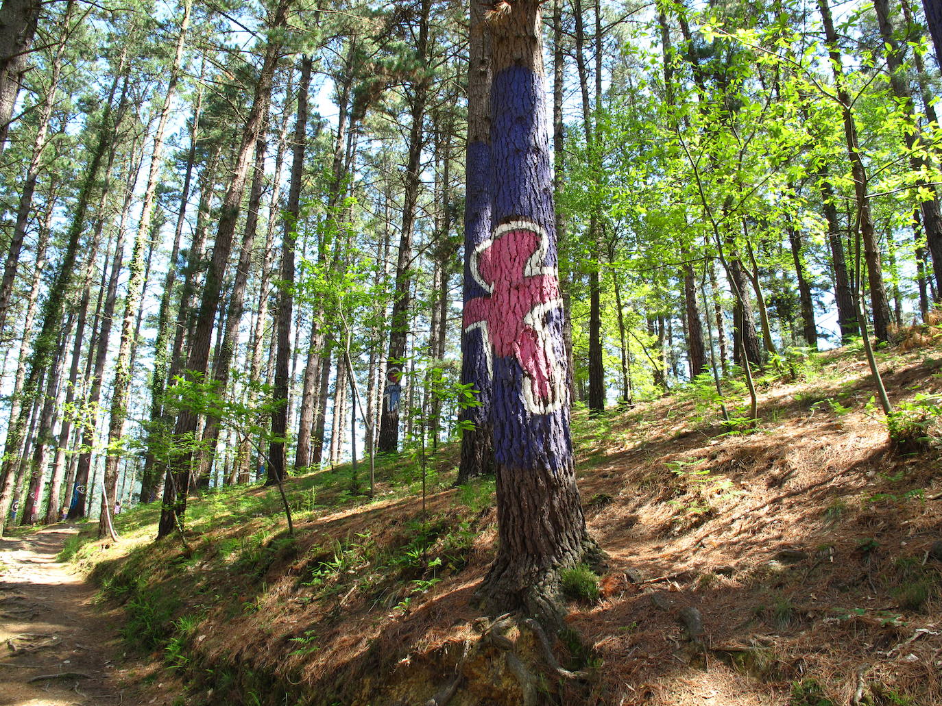 5.- Bosque de Oma (Vizcaya) | Ubicado en la Reserva Natural de Urdaibai, este bosque destaca por tener los troncos de los árboles pintados por el escultor y pintor Agustin Ibarrola. 