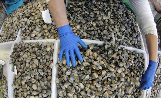 almejas de Carril en un mercado de Santiago de Compostela.