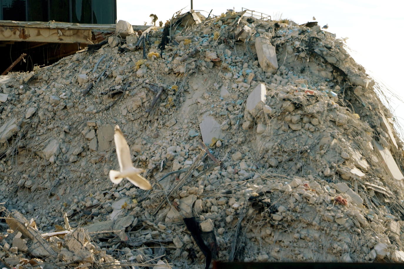 Fotos: Derribado el casino que Trump construyó en Atlantic