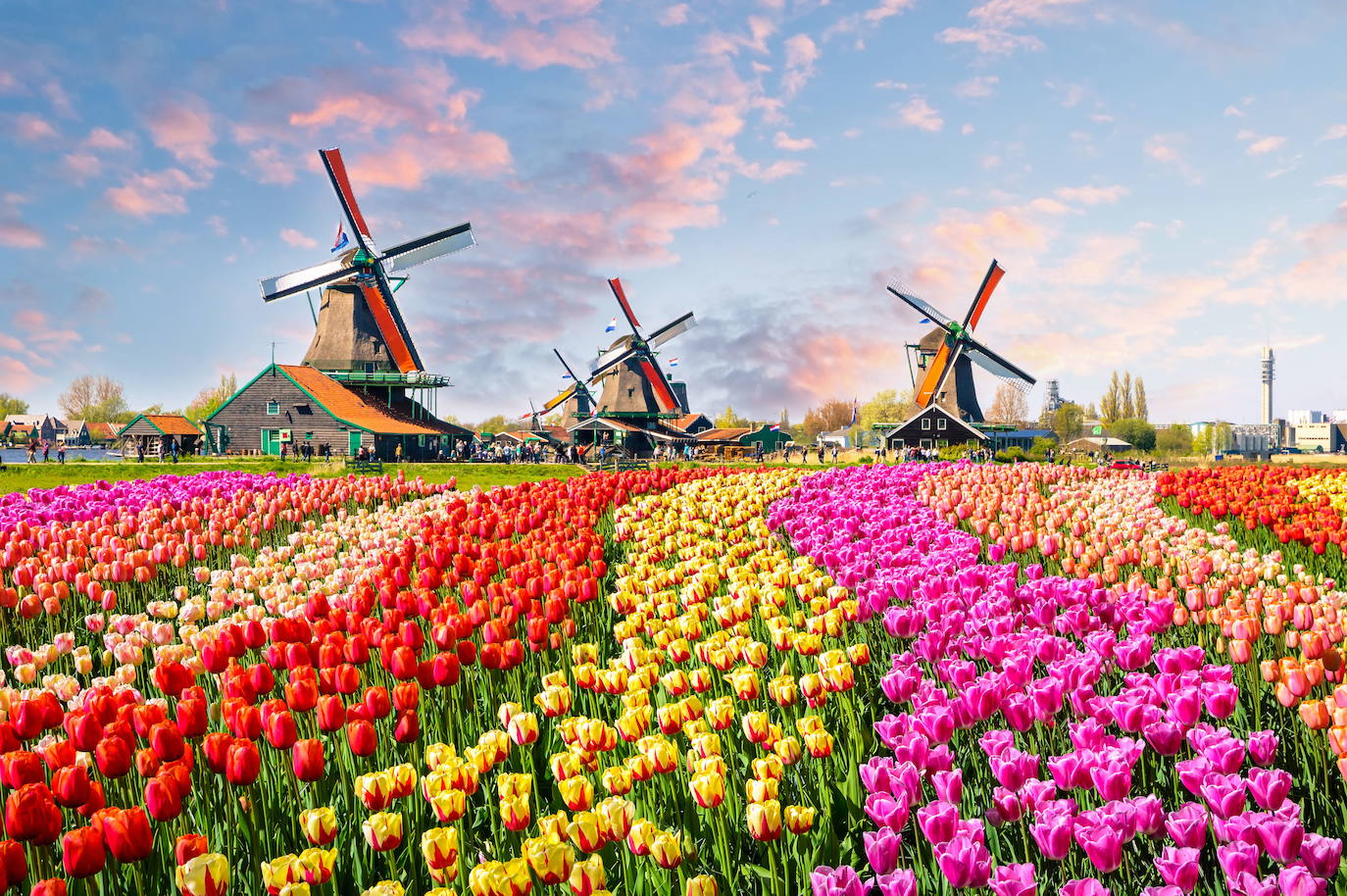 Keukenhof, Lisse (Países Bajos)