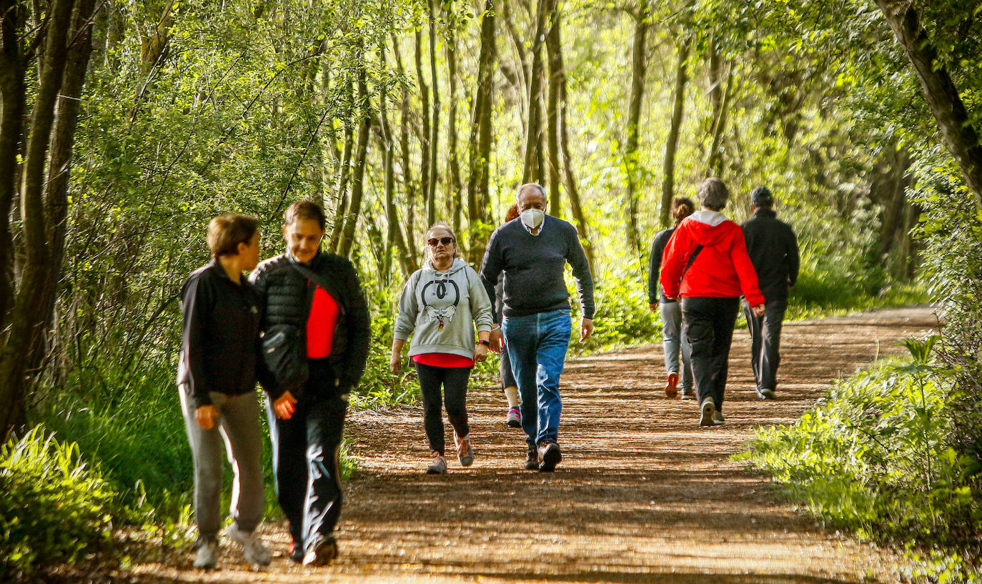 Vitoria reforzará los fines de semana la limpieza de su Anillo Verde