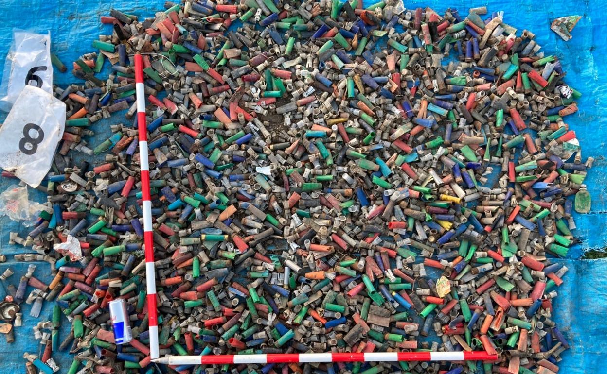 Auzokide batek bildutako kartutxo guztiak. 