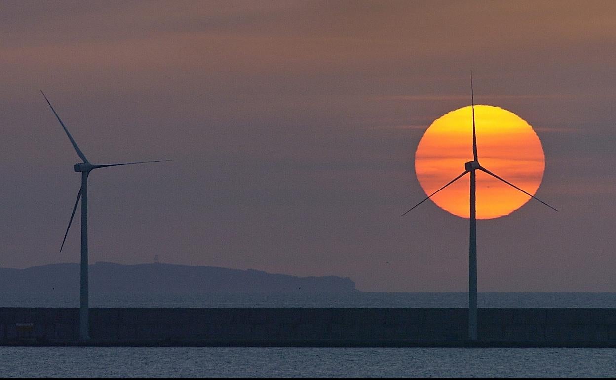 Imagen del parque eólico de Punta Lucero. 