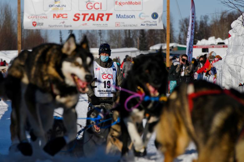 con cuantos perros tienes que acabar en el iditarod