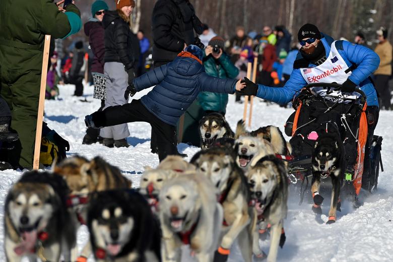 con cuantos perros tienes que acabar en el iditarod