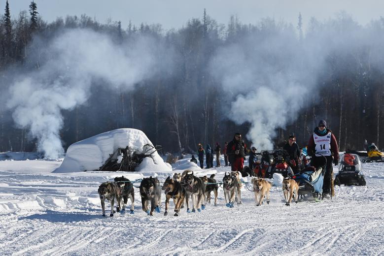 con cuantos perros tienes que acabar en el iditarod