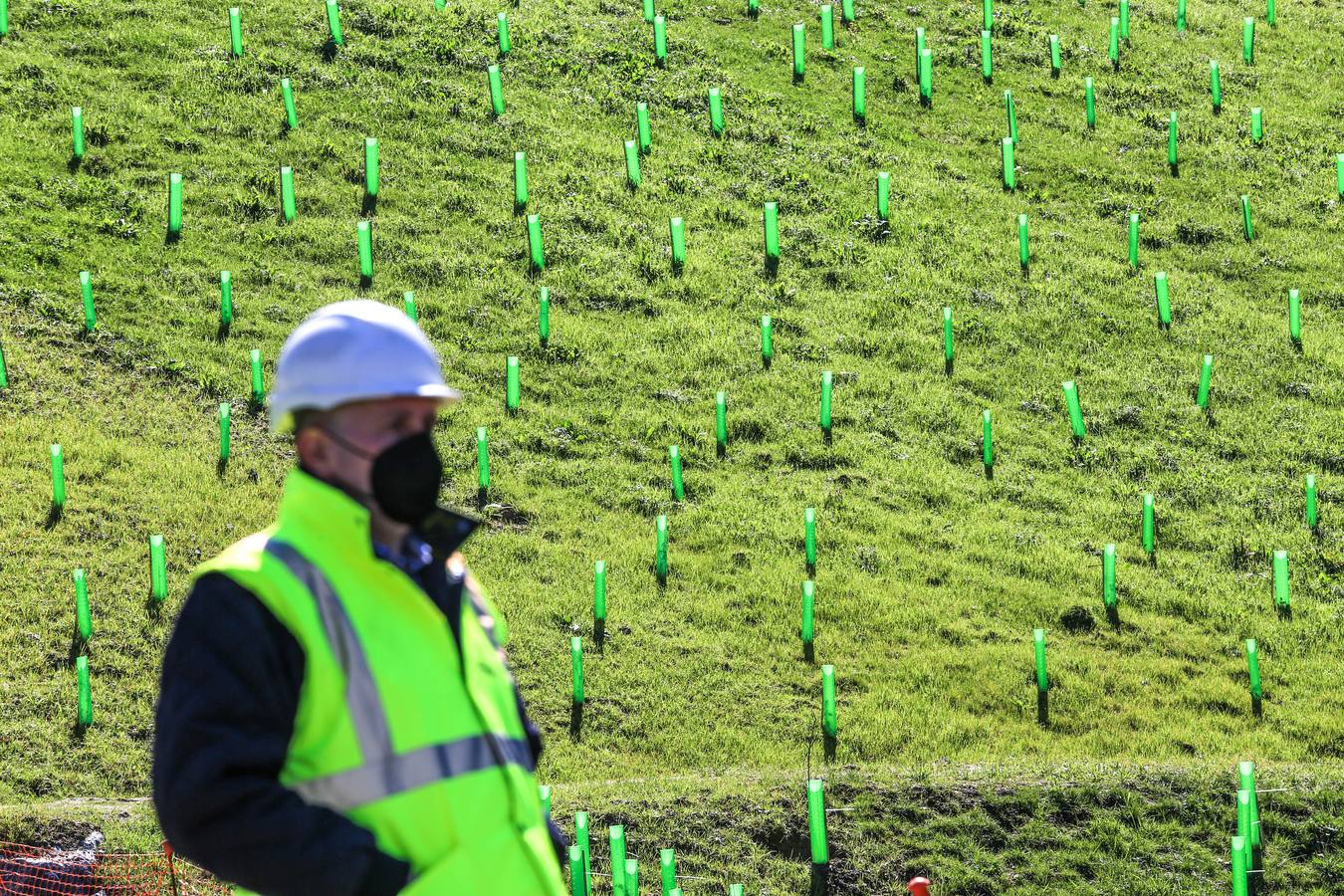 Fotos: La cantera del Peñascal será pronto un robledal