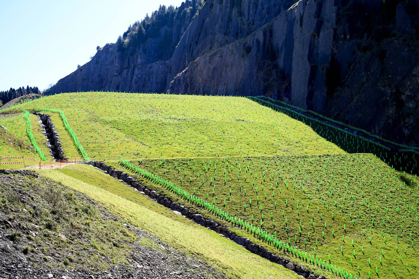 Fotos: La cantera del Peñascal será pronto un robledal