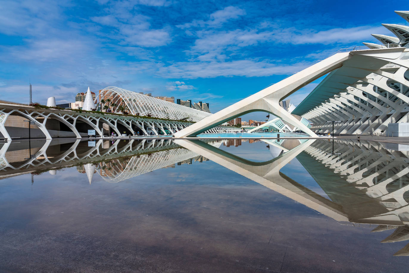 Ciudad de las Artes y las Ciencias 