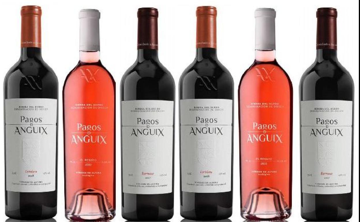 Pagos de Anguix lanza tres nuevos vinos