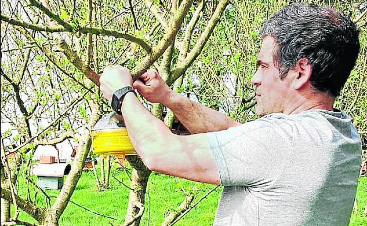 Aitziber Mendibil coloca una trampa para atrapar avispas asiáticas