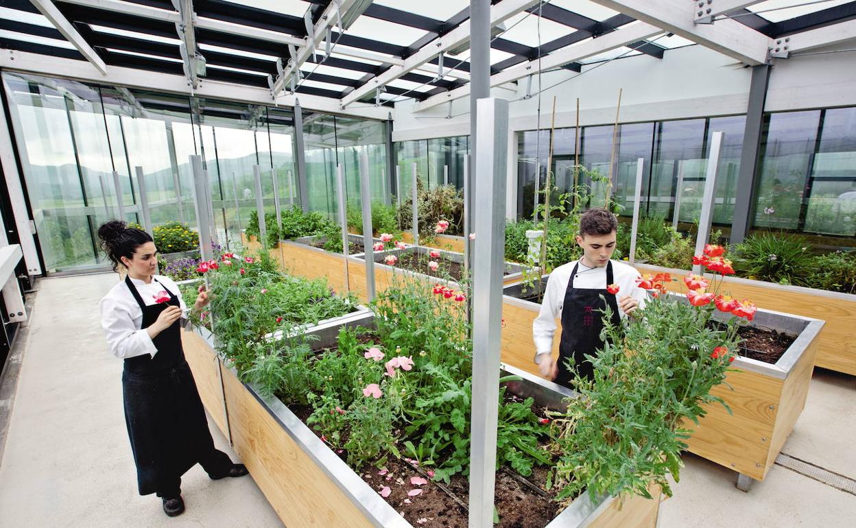 Dos cocineros del Azurmendi examinan las plantas de su invernadero.