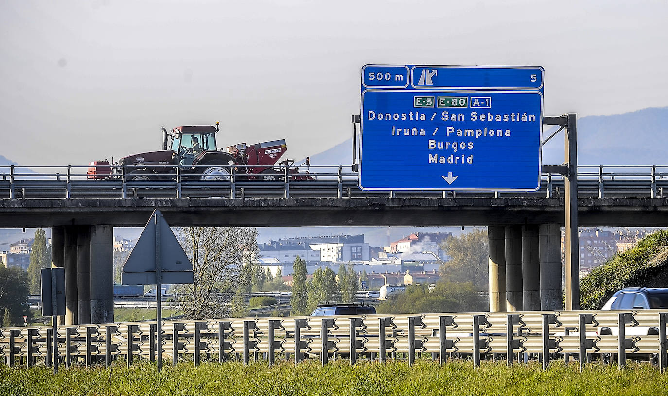 Fotos: Nacerán y se llamarán Monalisa y Lucinda