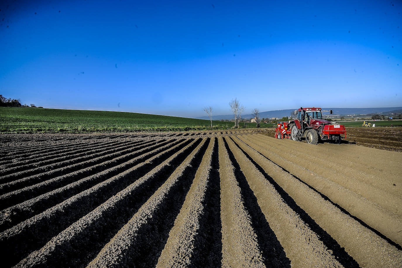 Fotos: Nacerán y se llamarán Monalisa y Lucinda