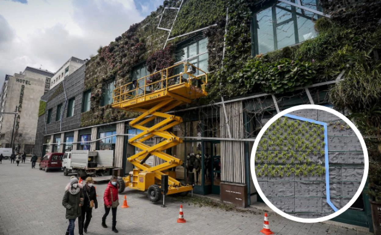 La fachada del Palacio Europa se somete desde finales de invierno a un cambio de su vegetación. A la derecha un detalle de cómo se colocan las plantas. 