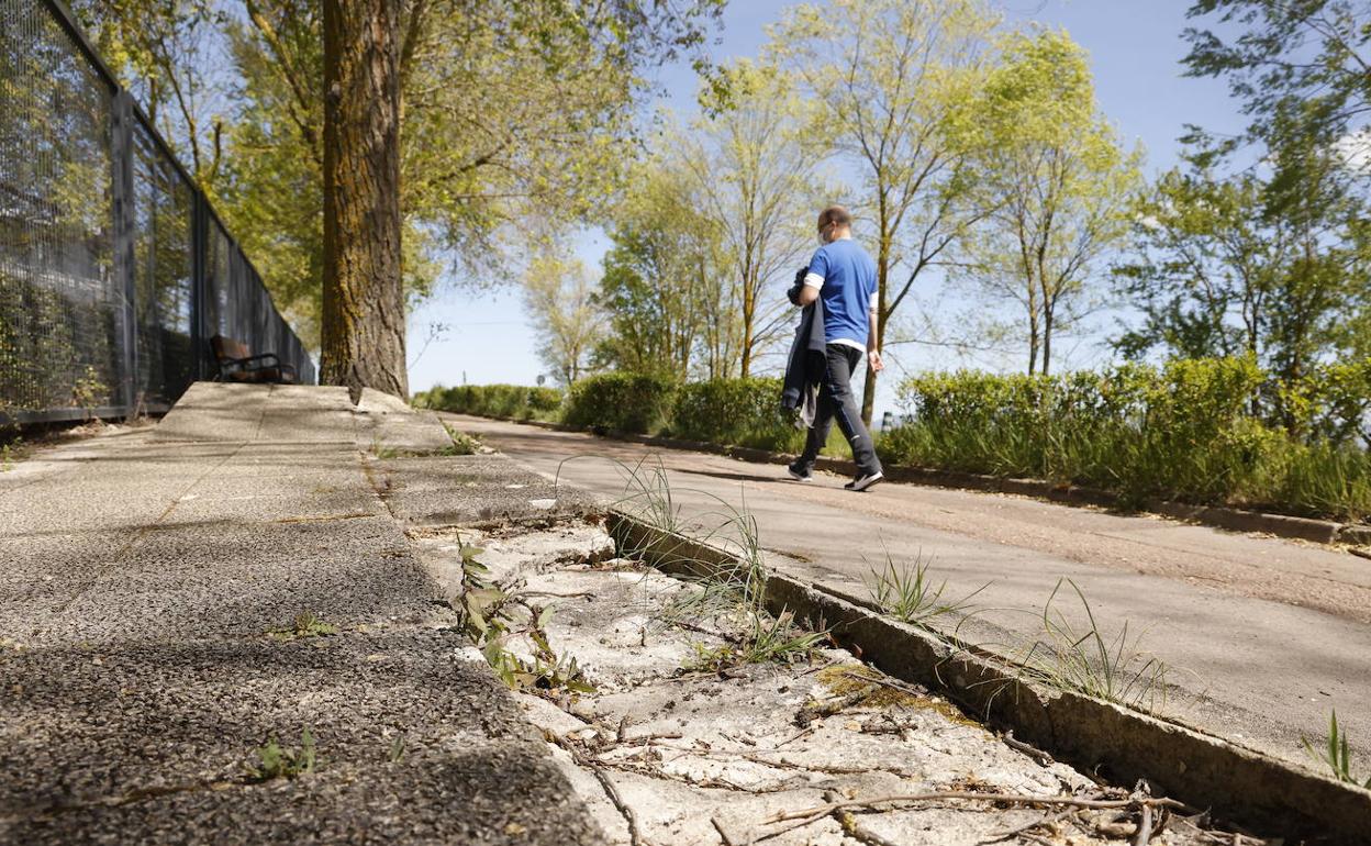 Los peatones hacen uso del bicicarril por la incomodidad de la acera.