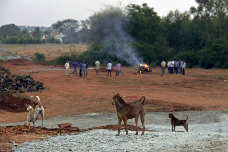 Fotos: India se convierte en el país de las cenizas por culpa de la virulencia del coronavirus