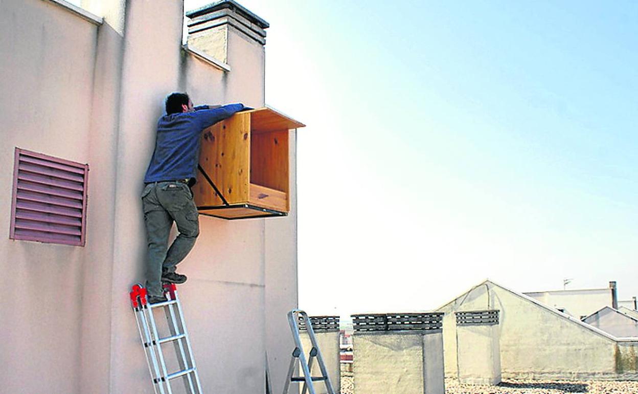 Las cajas tendrían que ubicarse en edificios altos y habría que llegar a un acuerdo con los propietarios. 