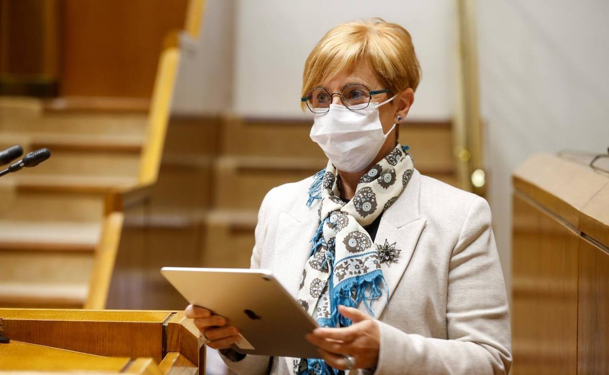 La consejera de Desarrollo Económico Arantxa Tapia.