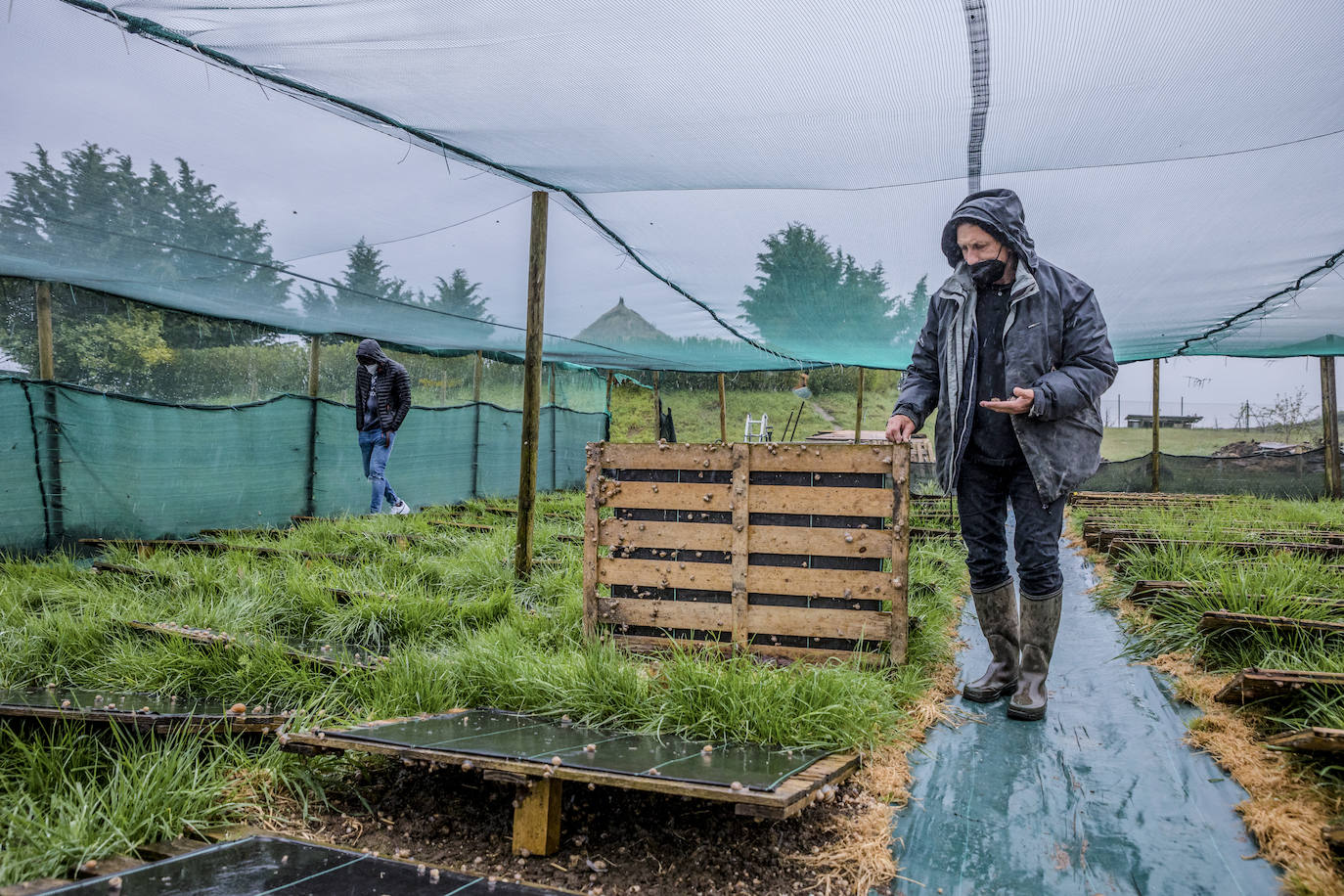 Fotos: El rebaño más dócil