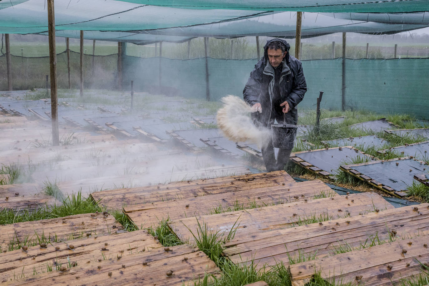 Fotos: El rebaño más dócil