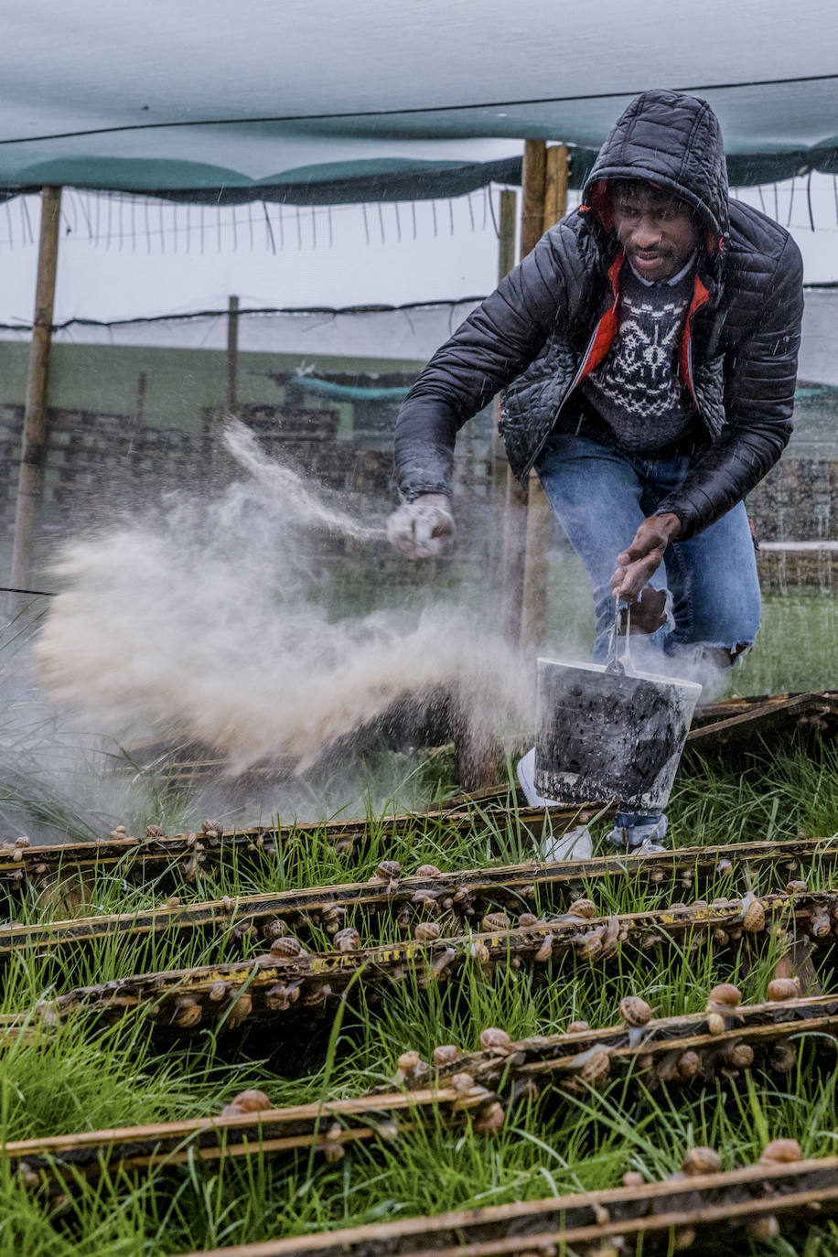 Fotos: El rebaño más dócil