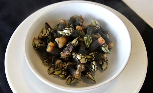 Percebes.