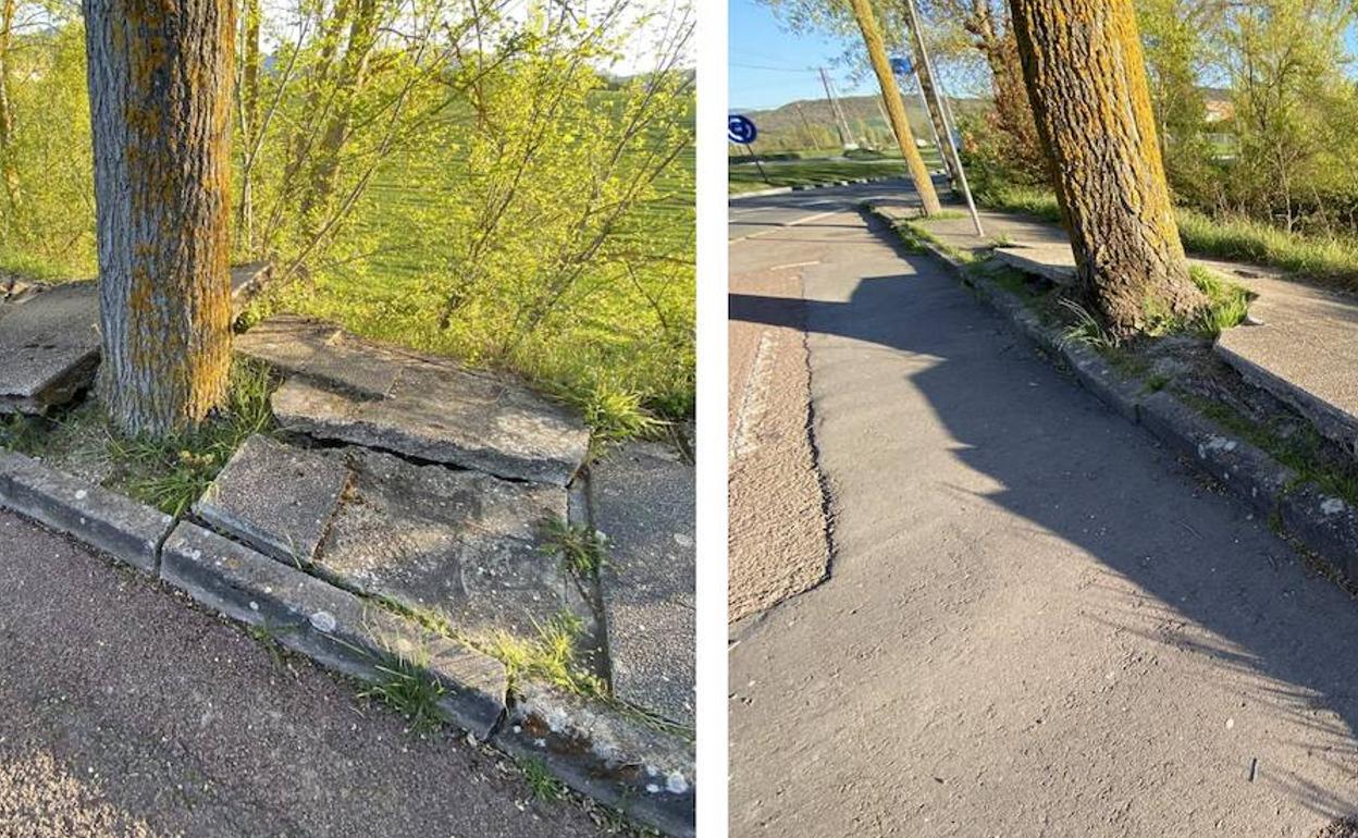 La acera y el bidegorri de la calle Malizhaeza están muy deteriorados.