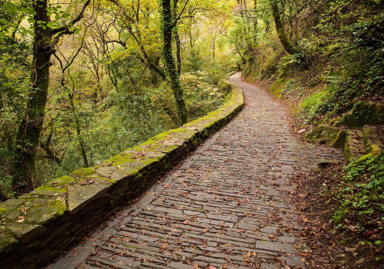 Fragas do Eume (Galicia): En Galicia se encuentra uno de los bosques atlánticos de ribera mejor conservados de Europa. Un paraje de ensueño repleto de caminos, una exuberante vegetación, cascadas y riachuelos capaces de dejar sin palabras a sus visitantes y todo en un terreno casi virgen de más de 9.000 hectáreas de extensión repletas de especies animales y vegetales en peligro de extinción.