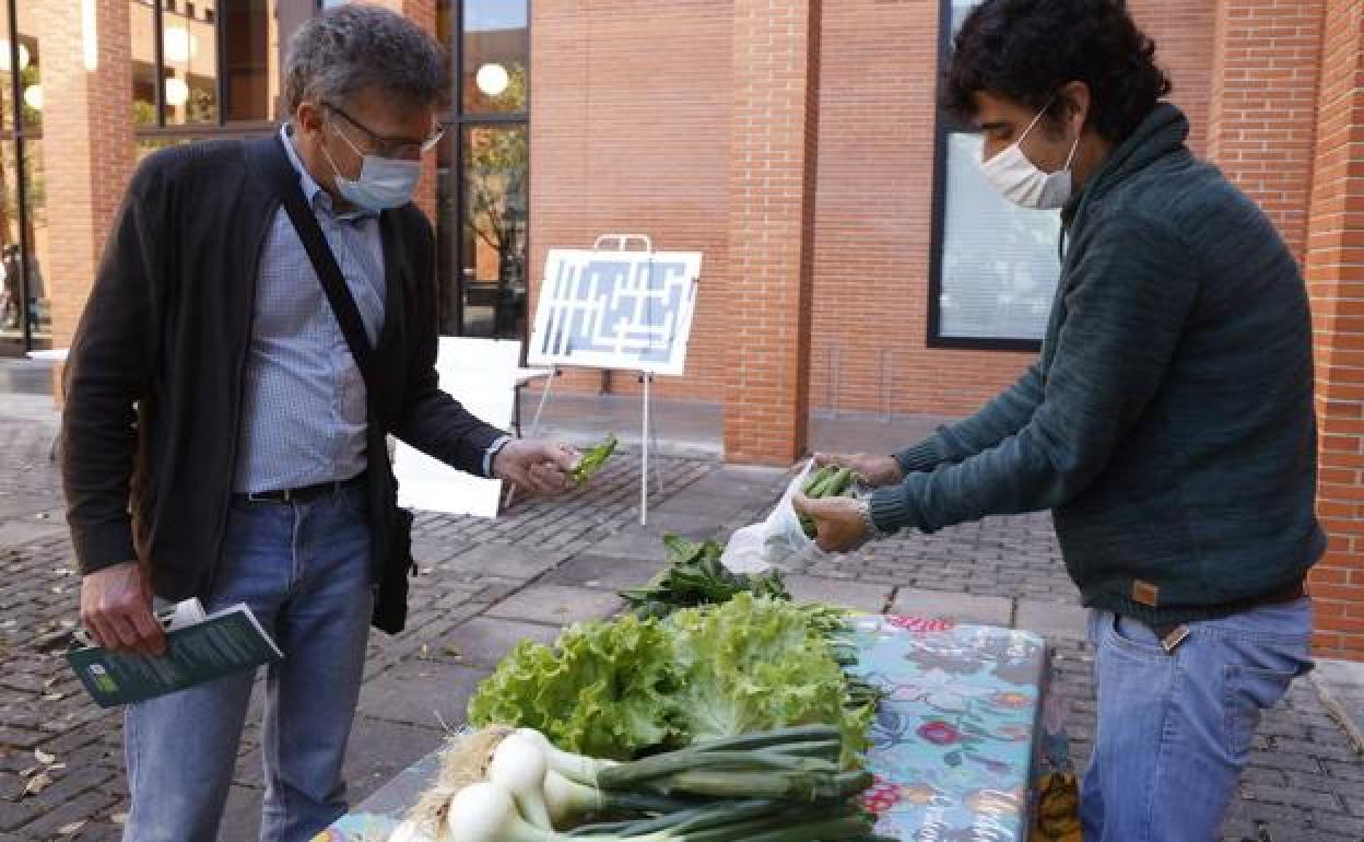 Bitor Elorriaga sirve sus guisantes, recién recolectados. 