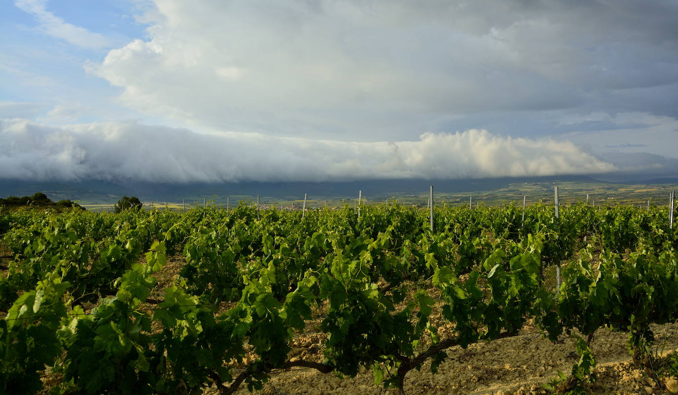 Fotos: La &#039;avalancha&#039; de nubes, un espectáculo visual en Rioja Alavesa