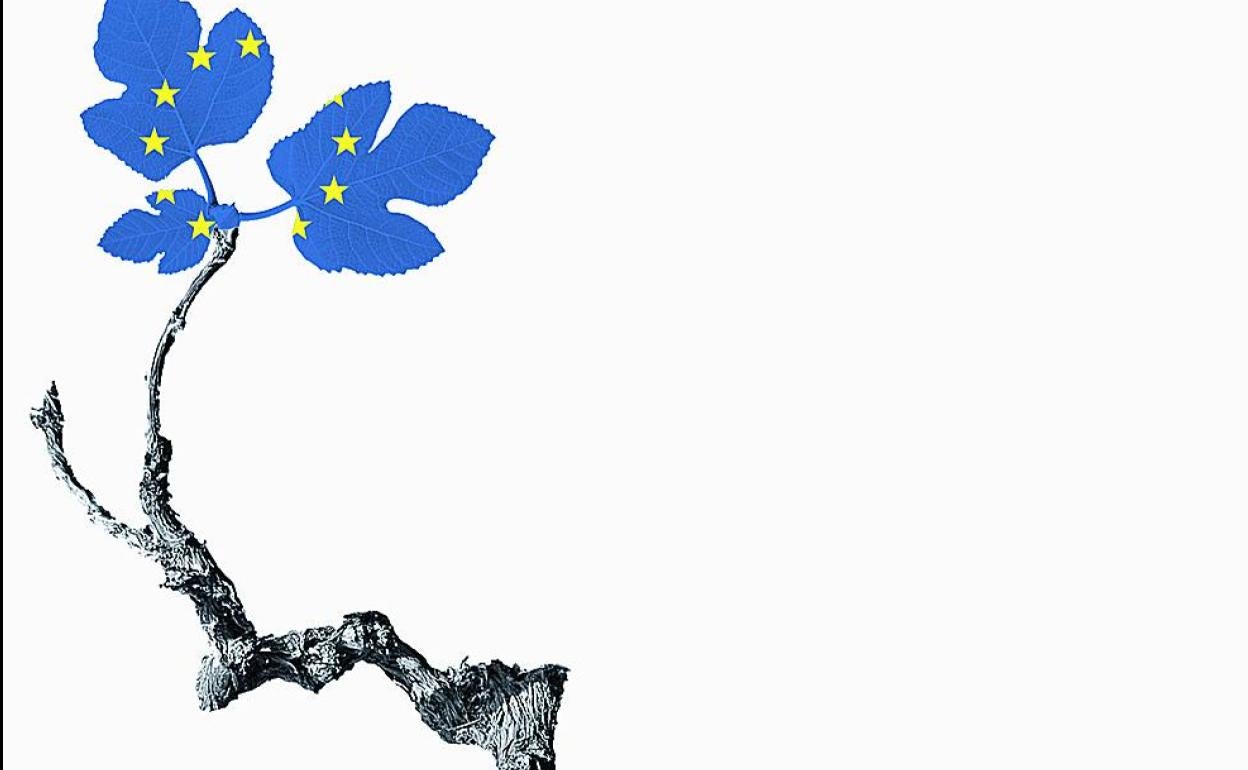 Euskadi Next: La transformación es la clave