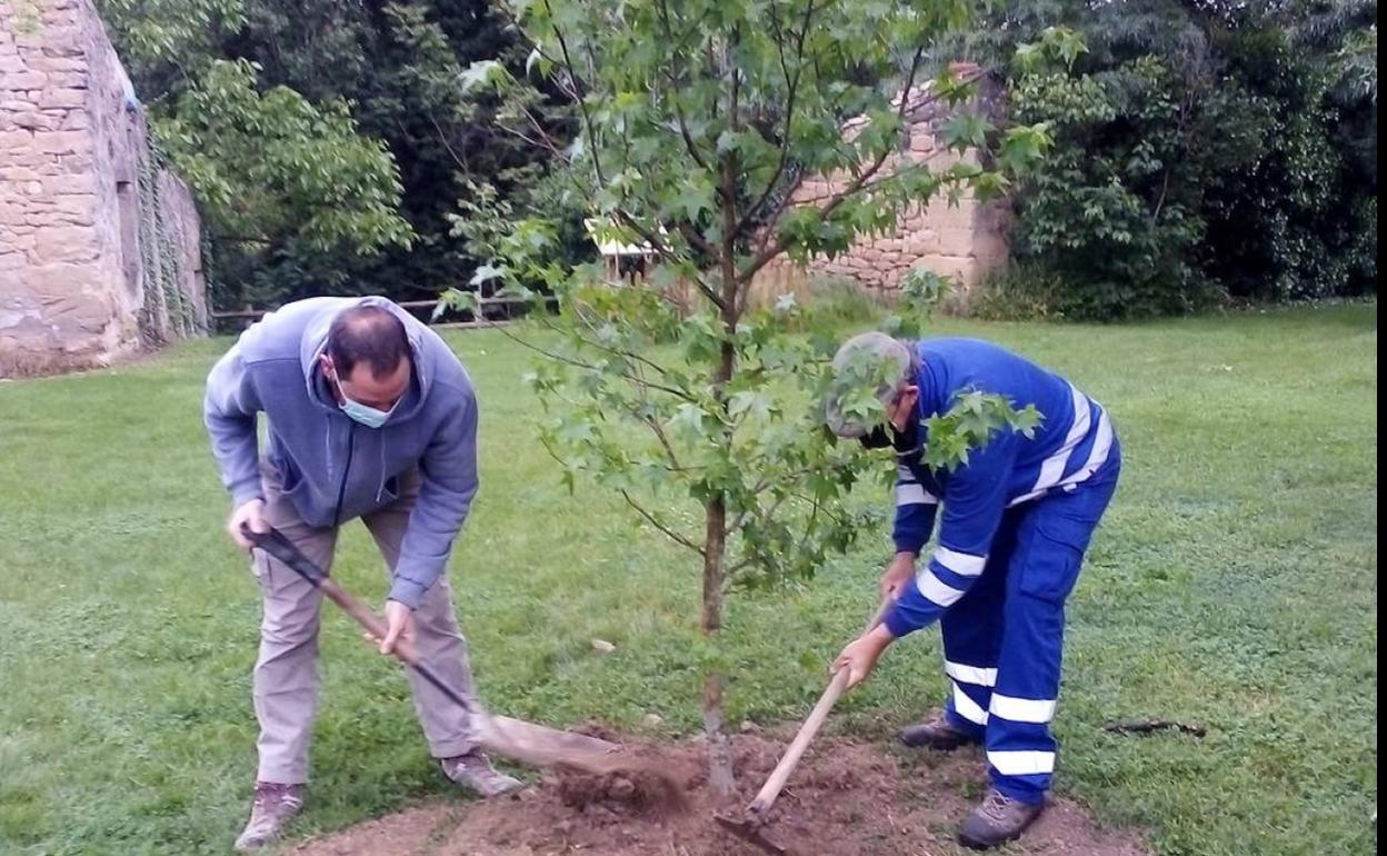 Moreda crea un espacio de educación ambiental