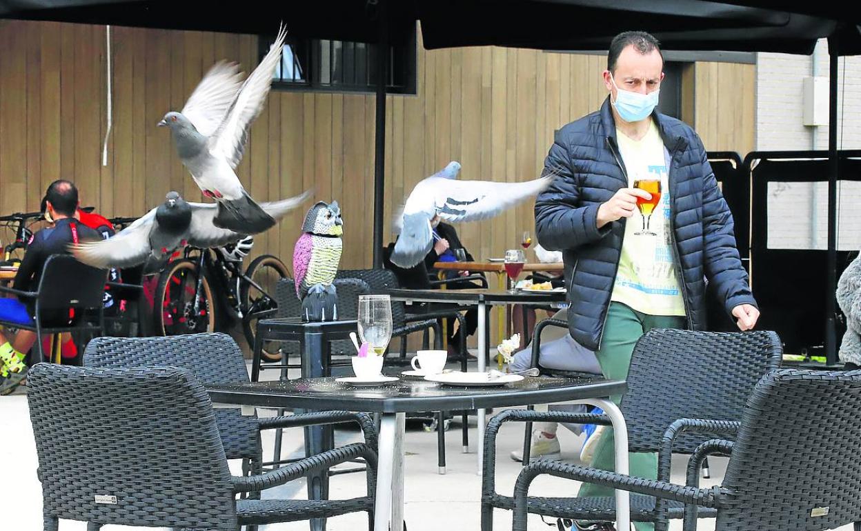 Las palomas campan a sus anchas en algunas de las terrazas, en la foto Café Saint Germain. 
