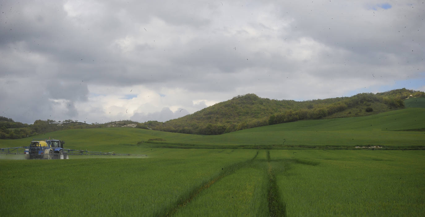 Fotos: «Los agricultores no envenenamos a la gente, la alimentamos»