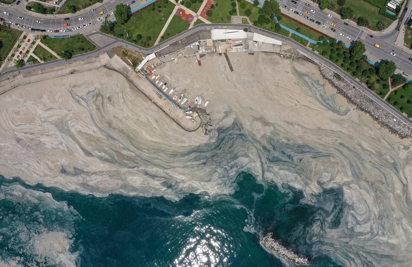 Fotos: El &#039;moco marino&#039; invade las costas de Estambul