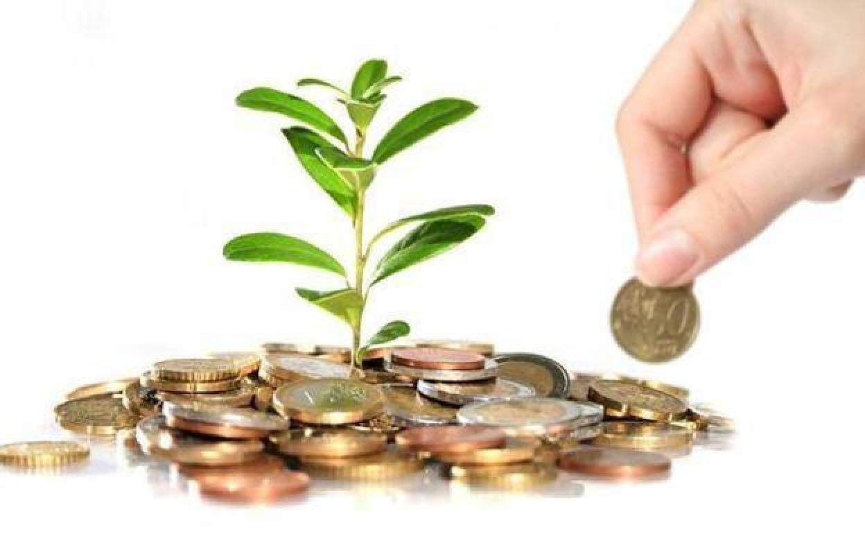 El Ejecutivo vasco abre las ayudas para respaldar nuevas inversiones empresariales