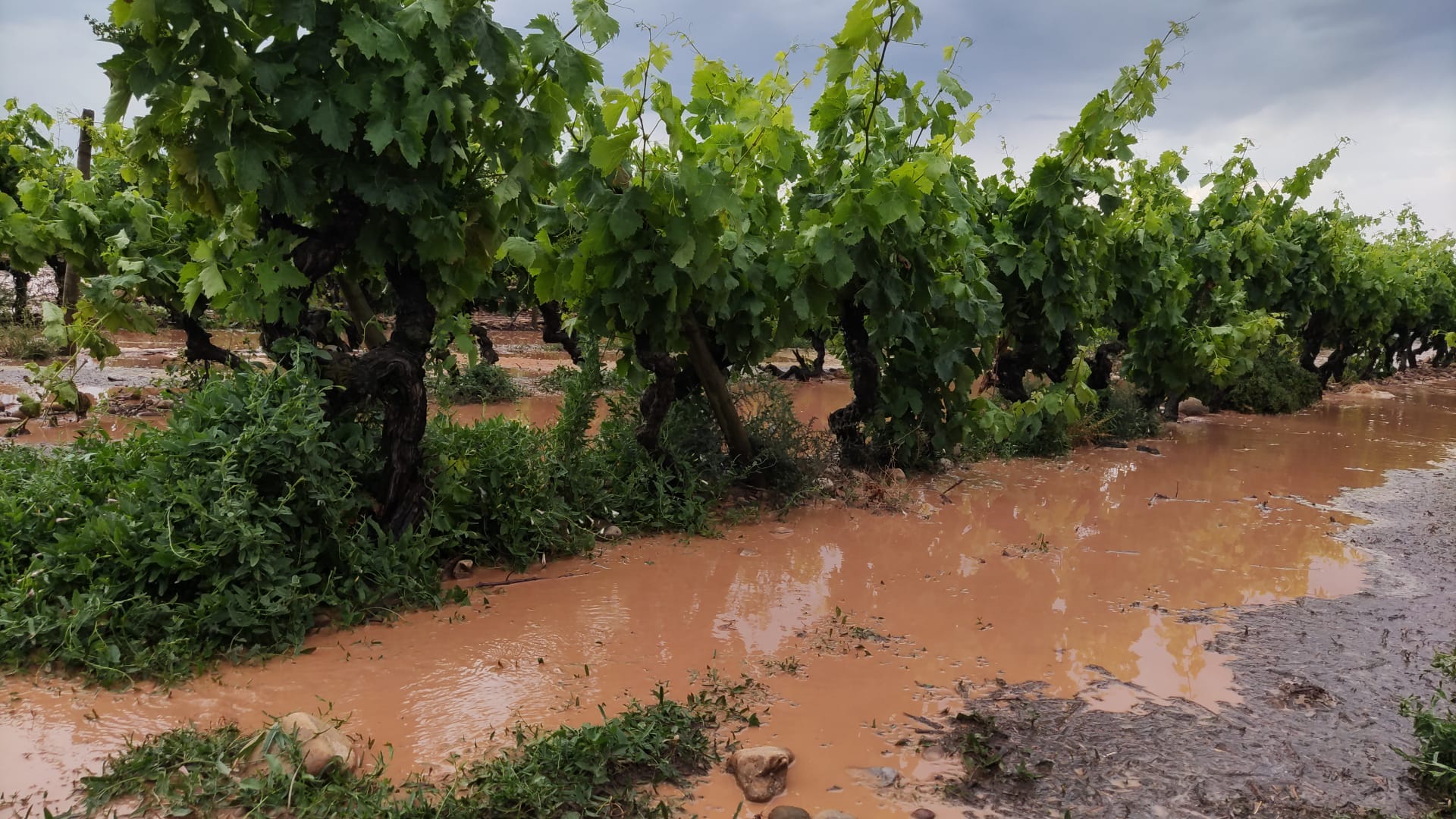 Fotos: Espectacular tormenta en La Rioja