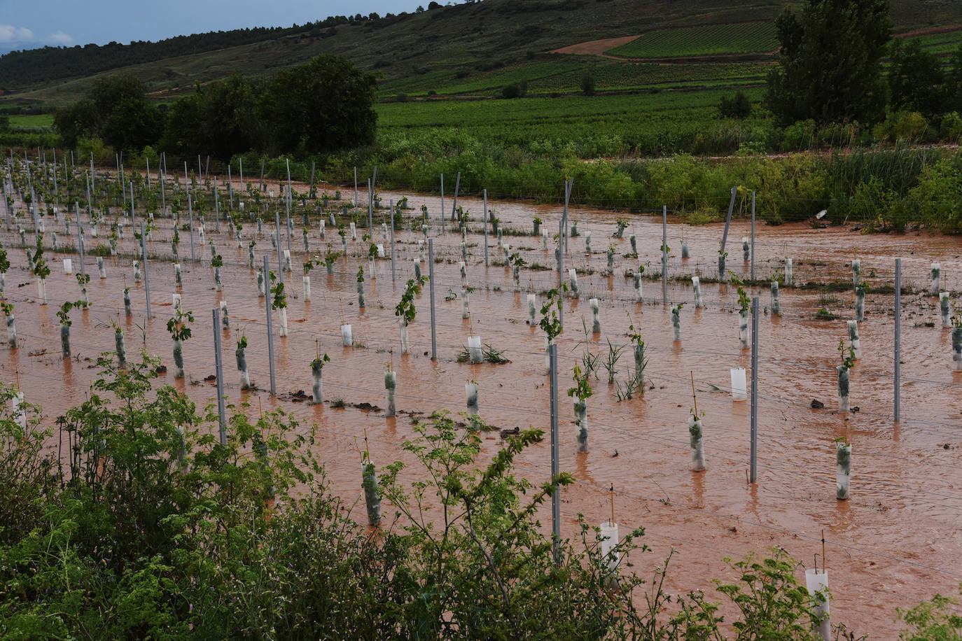 Fotos: Espectacular tormenta en La Rioja