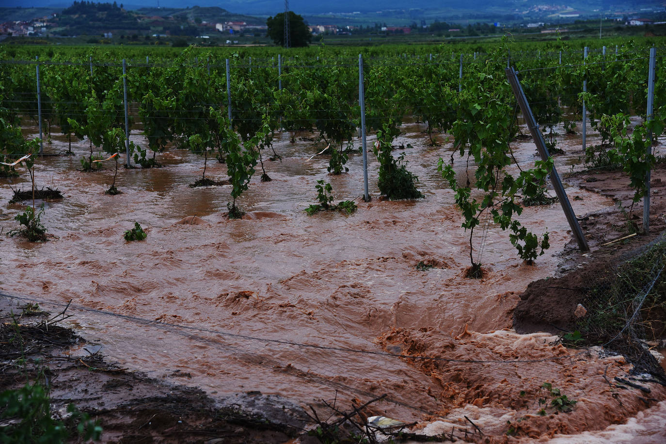 Fotos: Espectacular tormenta en La Rioja