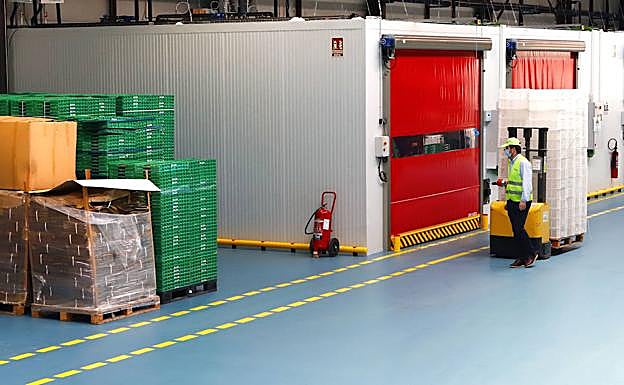 Las instalaciones están ya completamente adaptadas a la actividad. 