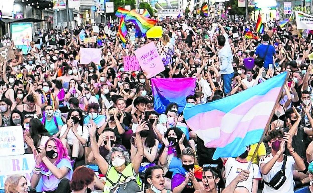 Manifestación a favor de los derechos de las personas trans en Madrid. 