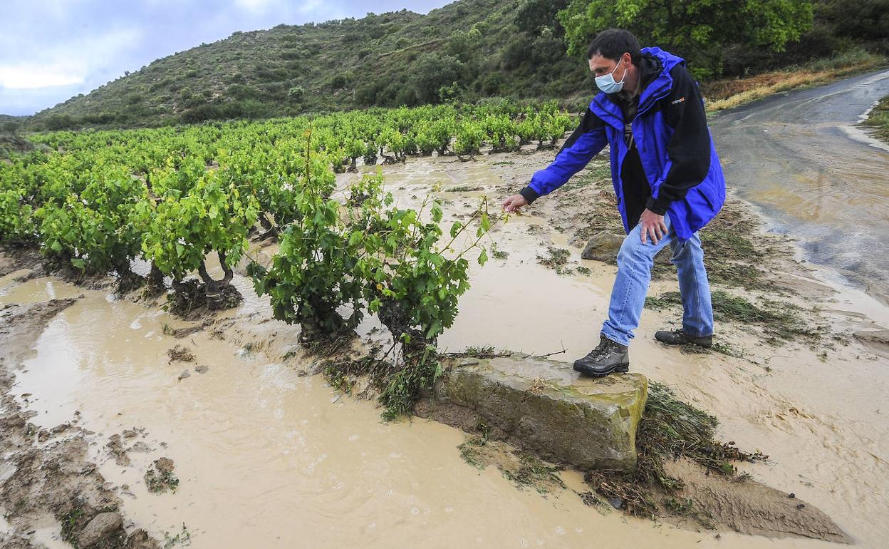 Algunos viñedos, como los de la imagen en Assa (Lanciego), sufrieron graves inundaciones con las tormentas.