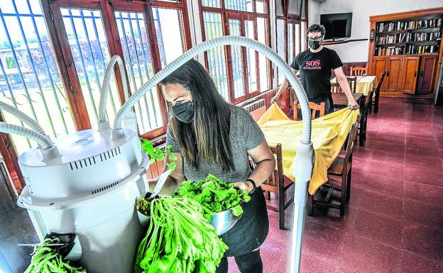 Ainhoa recolecta lechuga ecológica de su huerto hidropónico en el bar que regenta junto a Mikel. 