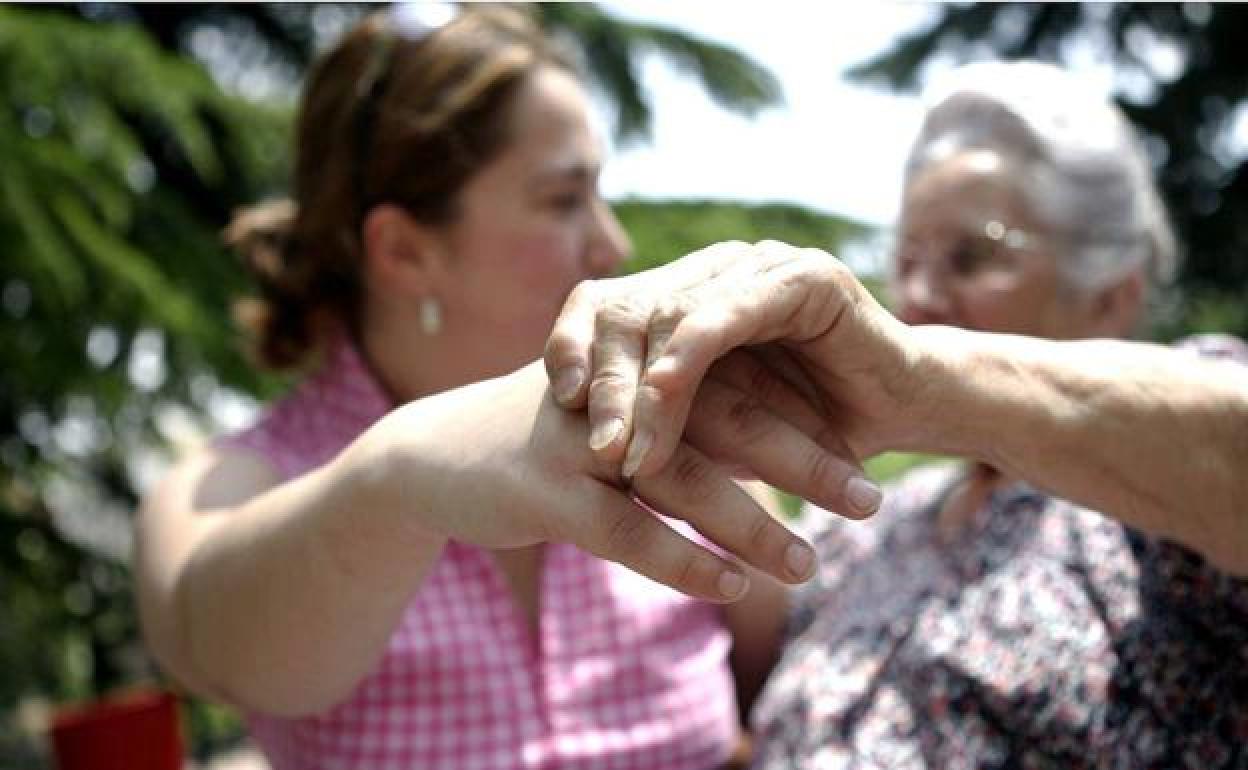 Más de 1.500 personas utilizan el SAD en Vitoria en alguna de sus modalidades. 