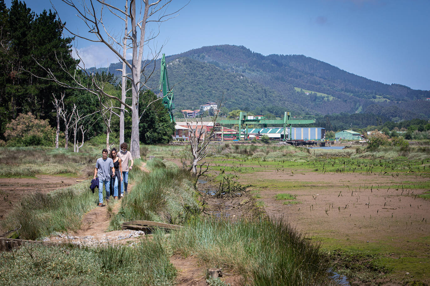 La zona de Murueta en la que se levantará una de las dos extensiones del museo.
