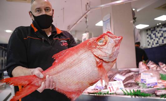 Ejemplar a la venta en un mercado asturiano.