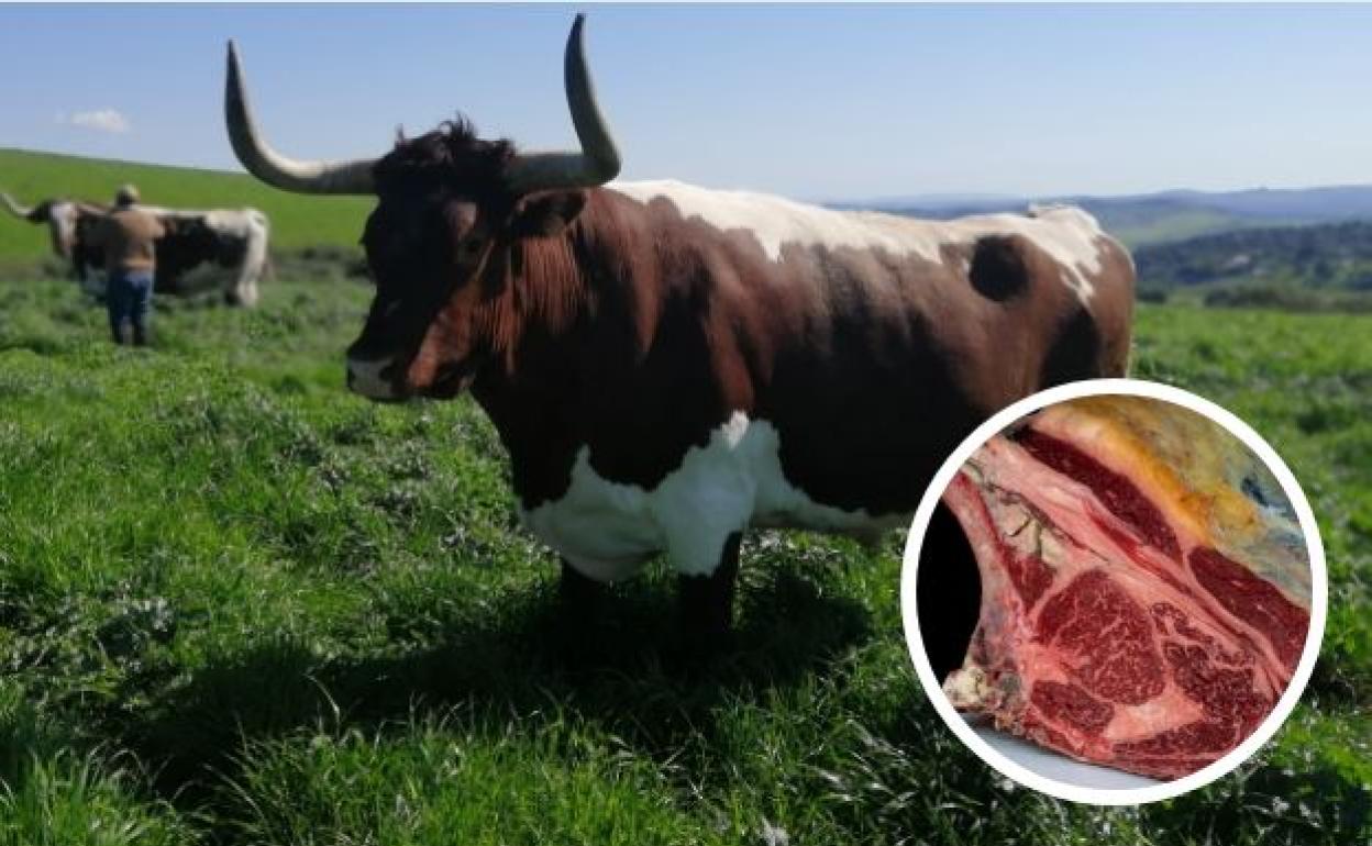 Chuletones de buey de Cádiz de edición limitada